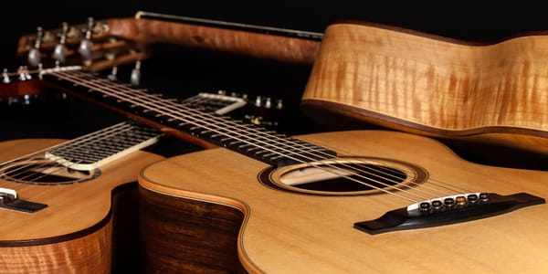 Guitar Tonewoods Explained